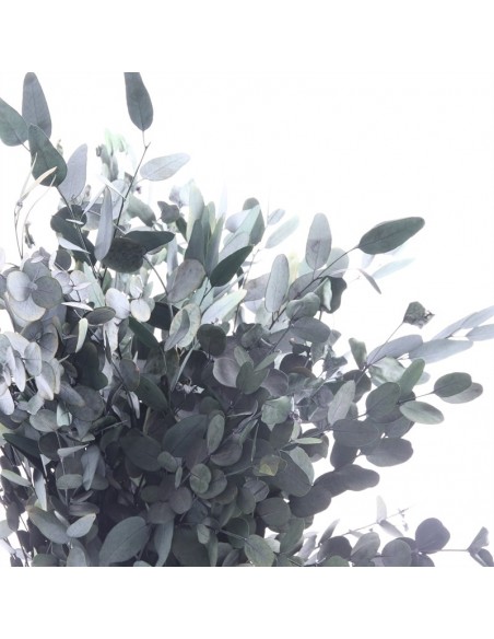 Eucalipto Gunny verde 120g