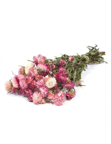 Helichysum Rosa Natural 100g
