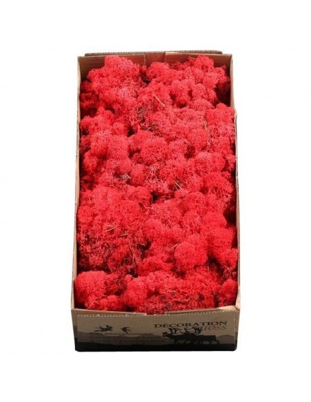 Musgo Finlandes Rojo