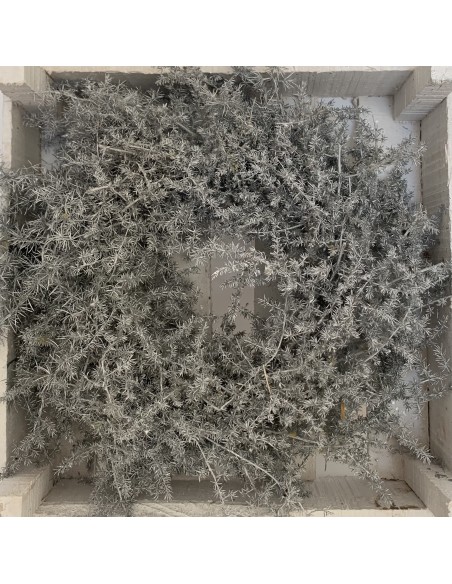 Base de Corona Esparraguera 35cm Gris/Brillante