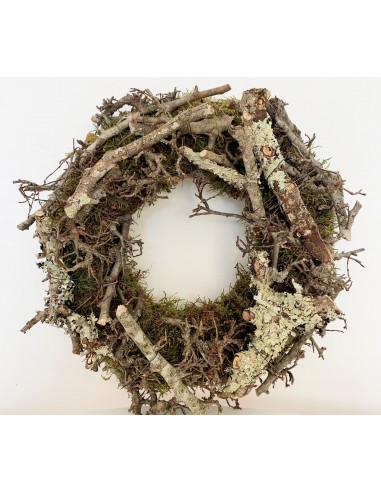 Corona Moss Larix 30cm