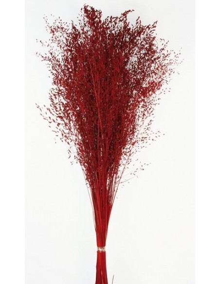 Carrapatinho Rojo 100cm 80g