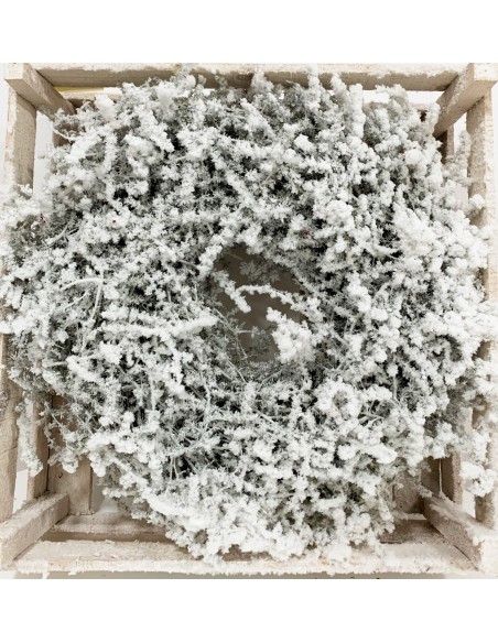 Corona Esparraguera Nevada 35cm