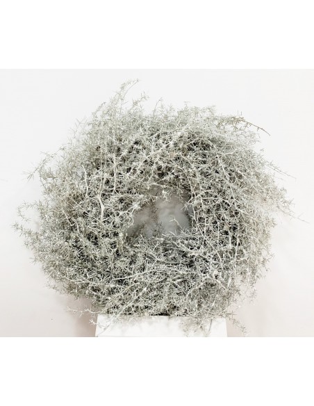 Corona Esparraguera Blanca/Gris 35cm