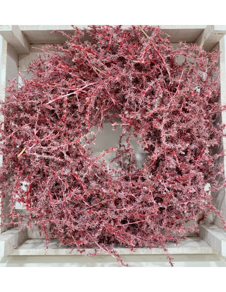 Corona Esparraguera Roja 25cm