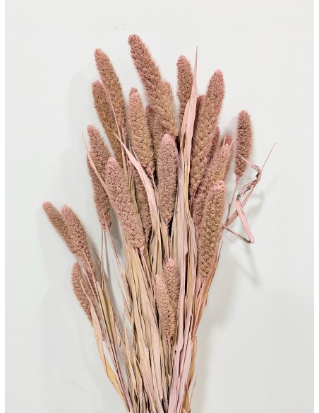 Setaria 75cm Cherry bloosom 80g