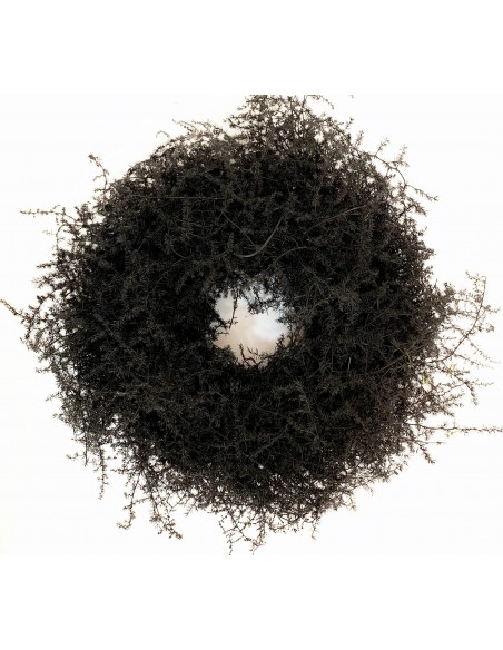 Corona Esparraguera Negra 35cm