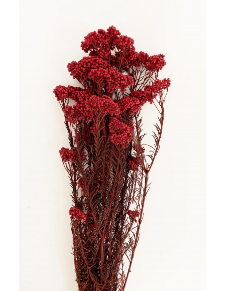 Flor de arroz preservada Roja 100g