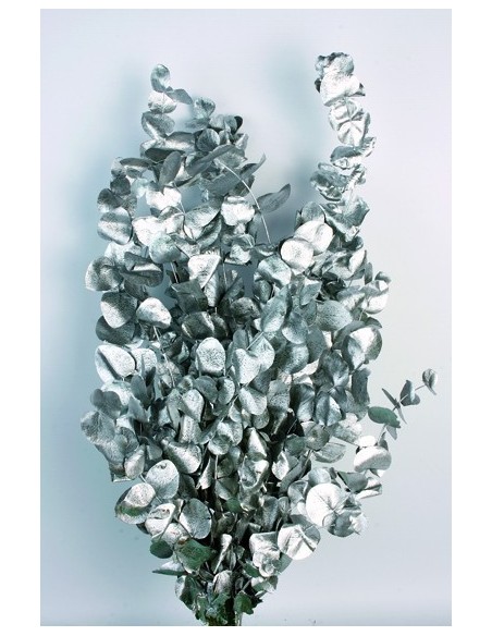 Eucalipto Cinerea Plata metalizado
