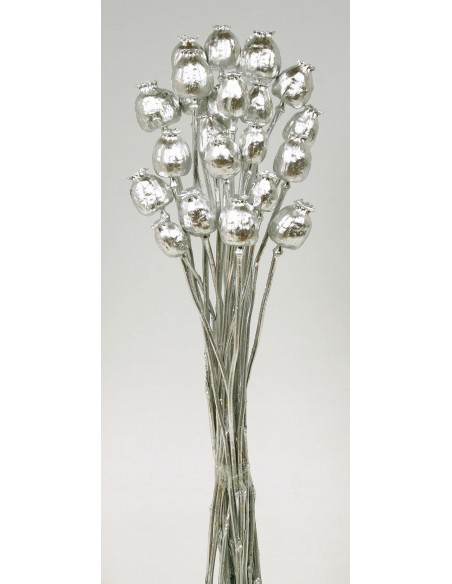 Papaver Plata Metalizado