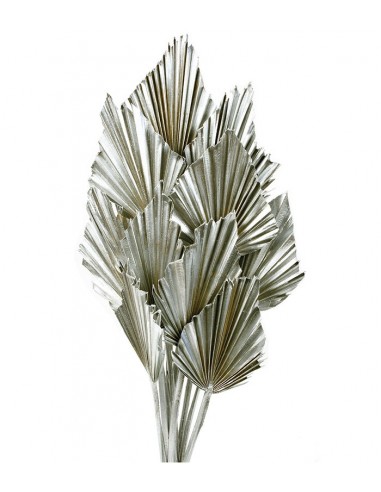 Palm spear Plata Metalizado 50 x 8-10...