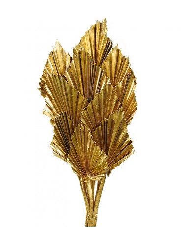Palm spear Oro Metalizado 50 x 8-10...