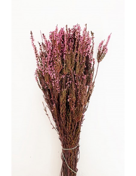 Erica Mediterranea Rosa natural