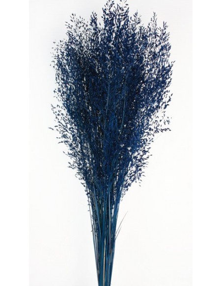 Carrapatinho Azul 100cm