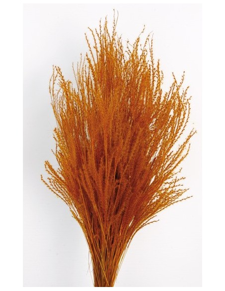 Fine Grass Naranja Ocre 50cm