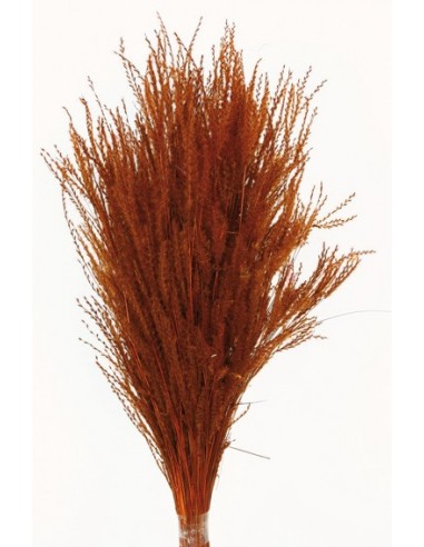 Fine Grass Marrón 50cm