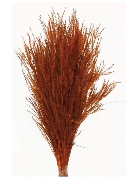 Fine Grass Marrón 50cm