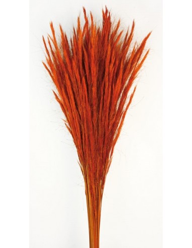 Fox Grass Naranja Ocre 70cm