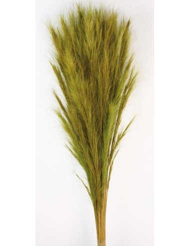 Fox Grass Verde 70cm