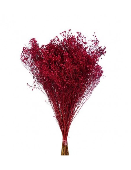 Brooms Seco Rojo 100g