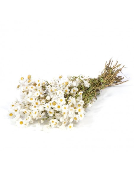 Rhodanthe Blanco Natural 80g
