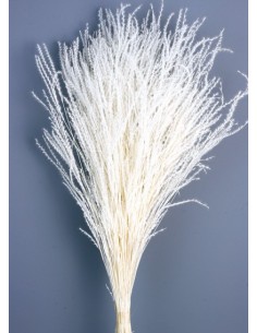 Fine Grass 50cm Blanco