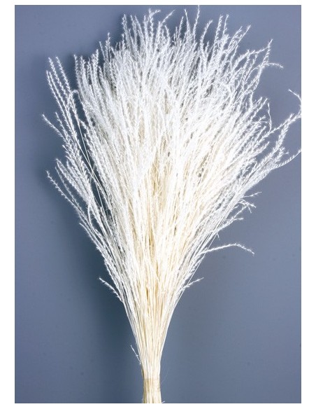 Fine Grass 50cm Blanco