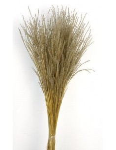 Fine Grass 50cm Natural