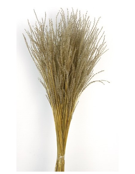 Fine Grass 50cm Natural