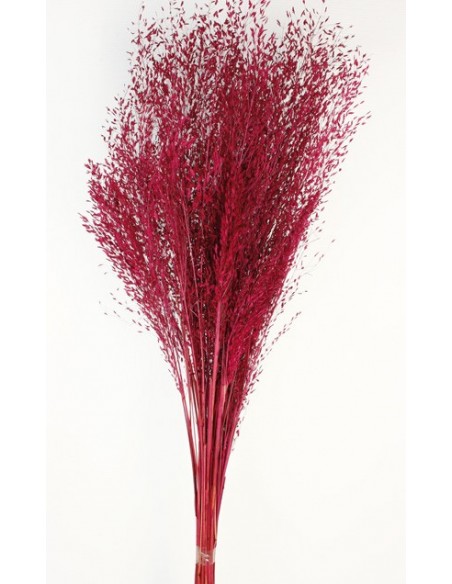 Carrapatinho Fucsia 100cm 80g