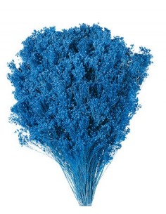 Brooms blum seco Azul 100g