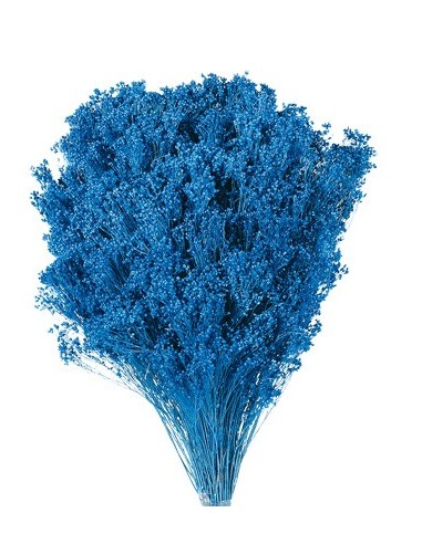 Brooms blum seco Azul 100g