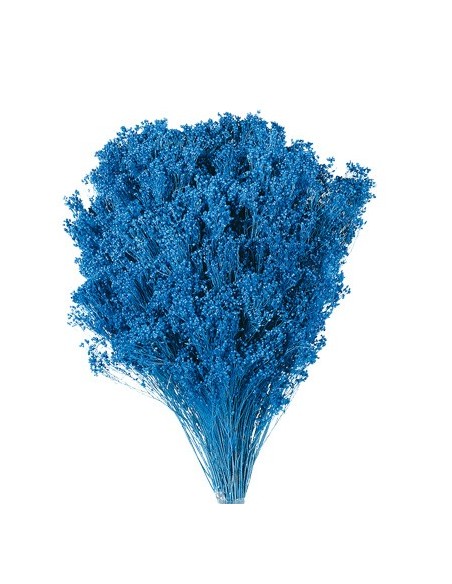 Brooms blum seco Azul 100g