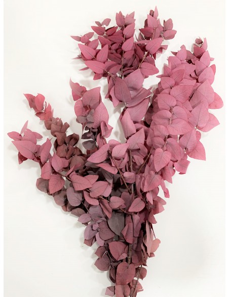 Eucalipto Stuartiana Rosa/Burdeos 150g