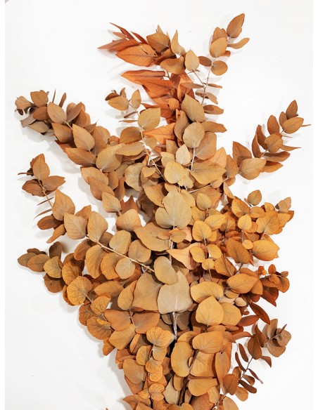 Eucalipto Stuartiana Naranja Ocre 150g