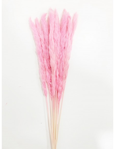 Baby Pampa Fluffy Rosa Pastel 8-10u 70cm