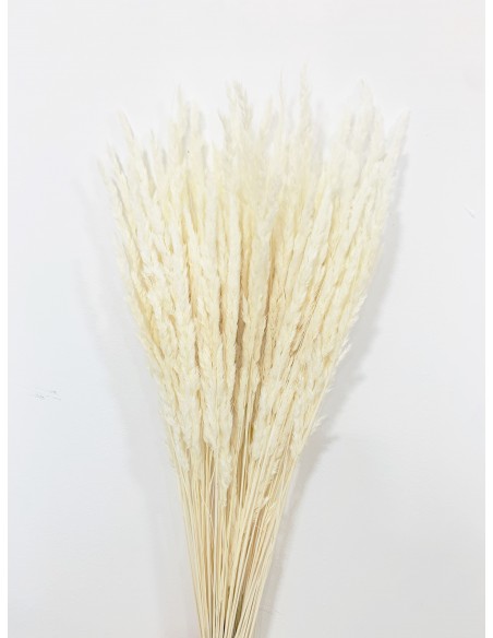 Plumeta Cristina Blanca 70cm 100g