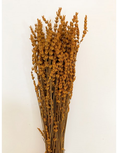 Lavanda Preservada Mostza 45cm