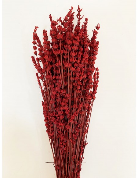 Lavanda Preservada Rojo Oscuro 45cm
