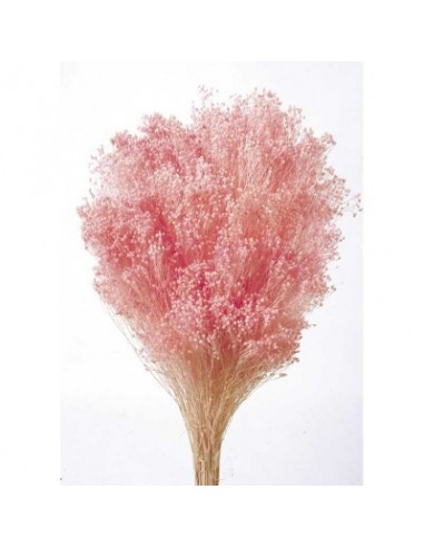 Brooms blum seco Rosa 100g