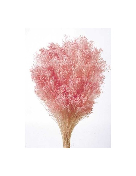 Brooms blum seco Rosa Pastel 100g