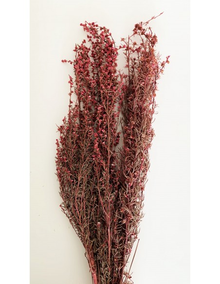 Tea Tree Seco Rosa 100g