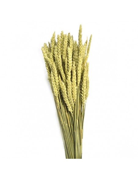 RAMILLETE NATURAL TRIGO FLOR  200 g. x  80 cm.