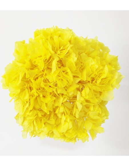 Hortensia Preservada Amarillo Limón