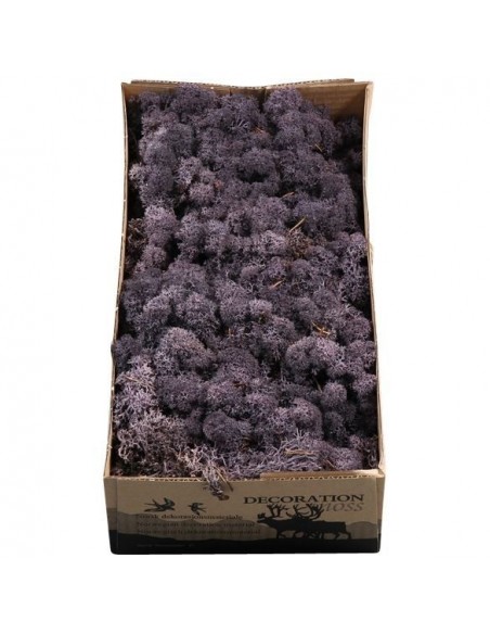 Musgo Finlandés preservado Lavanda 500g