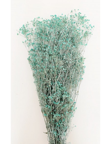 Gypsophila Paniculata Azul Turquesa Efecto tiza