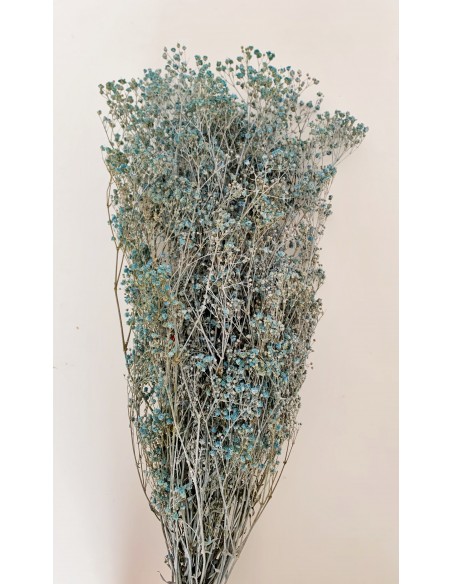 Gypsophila Paniculata Azul Celeste Efecto tiza