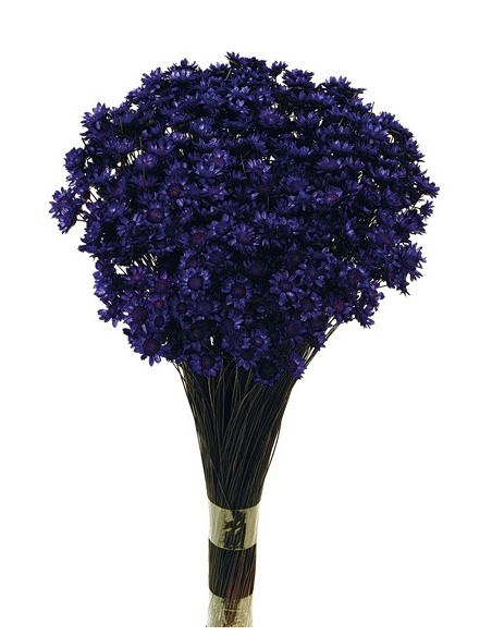 Glixia Morada Oscura 50g