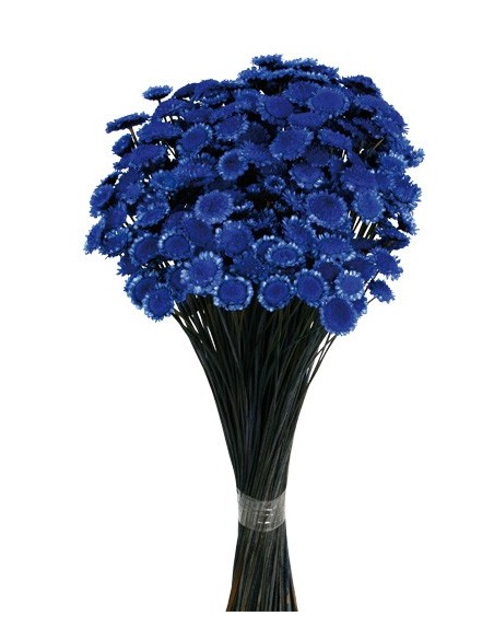 Margaret Azul Oscuro