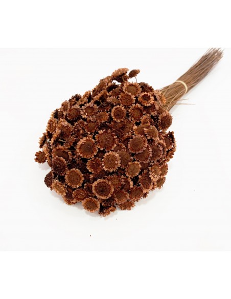 Margaret  Marrón 85g